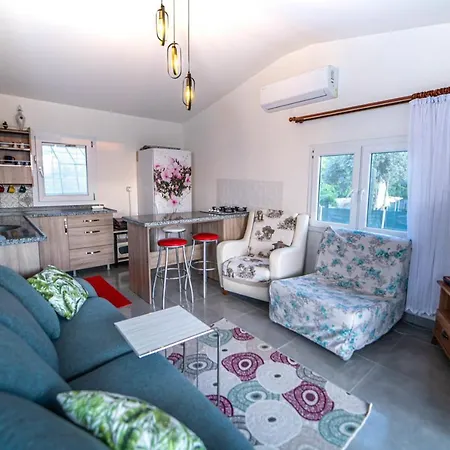 Dreamy House With A Lovely Backyard Close To The Beach In