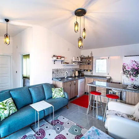 Dreamy House With A Lovely Backyard Close To The Beach In Apartment