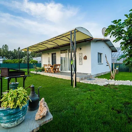 Dreamy House With A Lovely Backyard Close To The Beach In Apartment